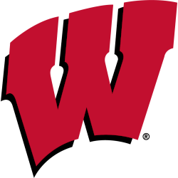 Wisconsin Badgers Primary Logo 1991 - 2017