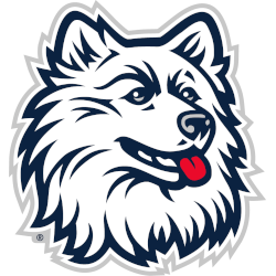 UConn Huskies Alternate Logo 2010 - 2013