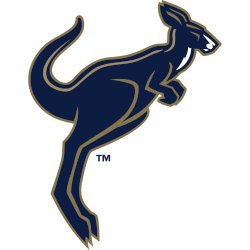 Akron Zips Alternate Logo 2018 - 2022