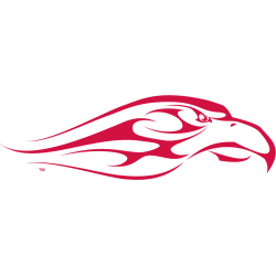 Liberty Flames Alternate Logo 2003 - 2013