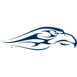 Liberty Flames Alternate Logo 2003 - 2013