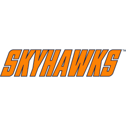 Tennessee-Martin Skyhawks Wordmark Logo 2007 - 2020