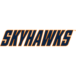 Tennessee-Martin Skyhawks Wordmark Logo 2007 - 2020