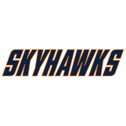 Tennessee-Martin Skyhawks Wordmark Logo 2020 - Present