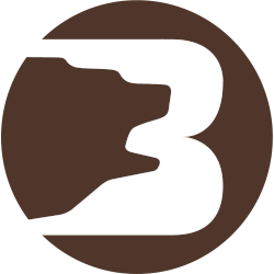 Brown Bears Primary Logo 1973 - 1978