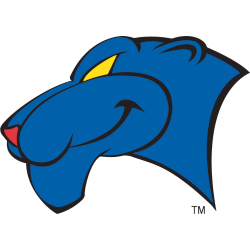 Georgia State Panthers Alternate Logo 2002 - 2009