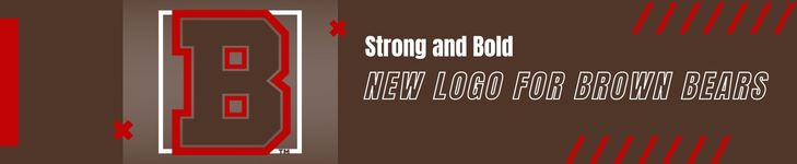 Strong and Bold New Logo for Brown Bears