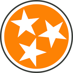 Tennessee Volunteers Alternate Logo 2020 - Present