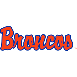 Boise State Broncos Wordmark Logo 1997 - 2001