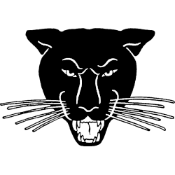 Northern Iowa Panthers Alternate Logo 1986