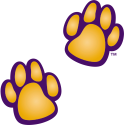 Northern Iowa Panthers Alternate Logo 2002 - 2021