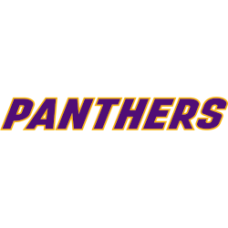 Northern Iowa Panthers Wordmark Logo 2021 - Present