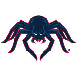 Richmond Spiders Alternate Logo 2002 - 2012