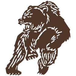 Brown Bears Primary Logo 1978 - 1997