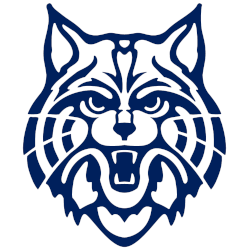 Arizona Wildcats Alternate Logo 1981 - 1990