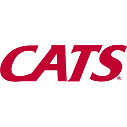 Arizona Wildcats Wordmark Logo 2013 - 2018