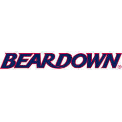 Arizona Wildcats Wordmark Logo 2013 - 2018