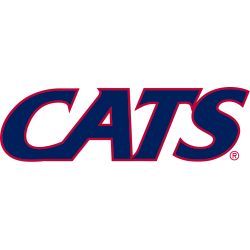 Arizona Wildcats Wordmark Logo 2013 - Present