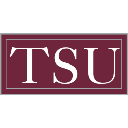 Texas Southern Tigers Wordmark Logo 2009 - Present