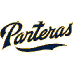 FIU Panthers Wordmark Logo 2017 - Present