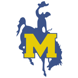 McNeese State Cowboys Primary Logo 1990 - 2002