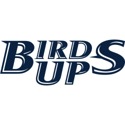 UTSA Roadrunners Wordmark Logo 2022 - Present