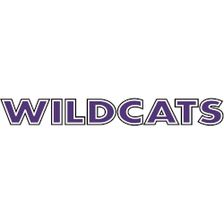 Abilene Christian Wildcats Wordmark Logo 1997 - 2013