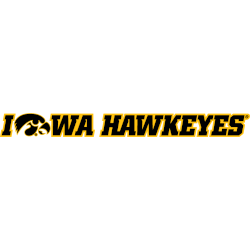 Iowa Hawkeyes Wordmark Logo 2019 - Present