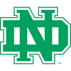 North Dakota Fighting Hawks Alternate Logo 1974 - 2001