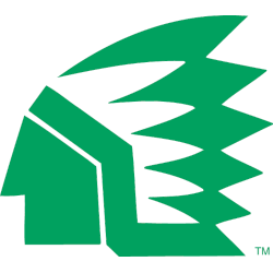 North Dakota Fighting Hawks Primary Logo 1976 - 2000