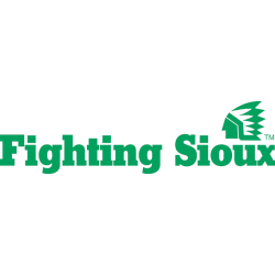 North Dakota Fighting Hawks Wordmark Logo 1976 - 2000