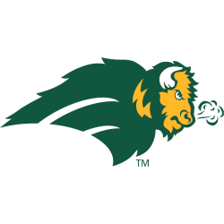 North Dakota State Bison Alternate Logo 1999 - 2012