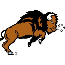 North Dakota State Bison Alternate Logo 1999 - 2012