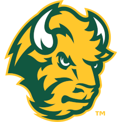 North Dakota State Bison Alternate Logo 2012 - Present