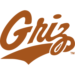 Montana Grizzlies Wordmark Logo 1988 - 1996