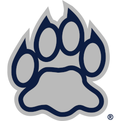 New Hampshire Wildcats Alternate Logo 2000 - 2019