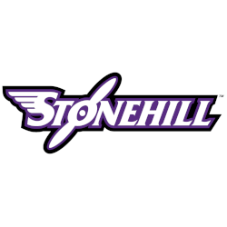 Stonehill Skyhawks Wordmark Logo 2005 - 2017