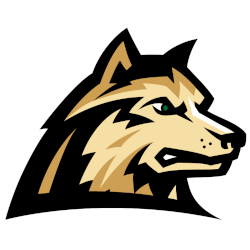 Wright State Raiders Alternate Logo 2022 - Present