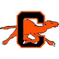 Campbell Fighting Camels Primary Logo 1993 - 2005