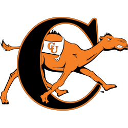 Campbell Fighting Camels Primary Logo 2008 - 2023