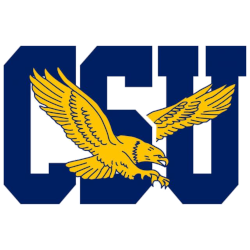 coppin-state-eagles-primary-logo