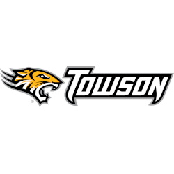 Towson Tigers Wordmark Logo 2011 - Present