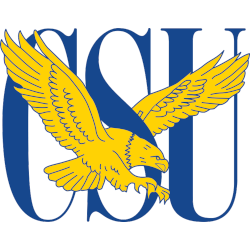 Coppin State Eagles Primary Logo 2004 - 2017