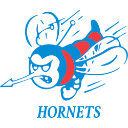 Delaware State Hornets Primary Logo 1970 - 2001