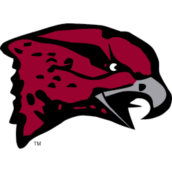 Maryland Eastern Shore Hawks Primary Logo 2007 - 2022