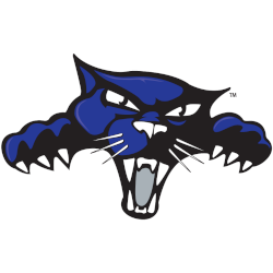 High Point Panthers Alternate Logo 2004 - 2012