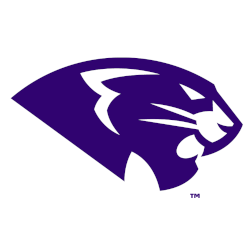 High Point Panthers Alternate Logo 2017 - Present