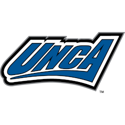 UNC Asheville Bulldogs Alternate Logo 2004 - 2013