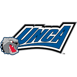 UNC Asheville Bulldogs Alternate Logo 2004 - 2013