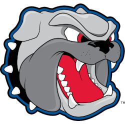 UNC Asheville Bulldogs Alternate Logo 2004 - 2019